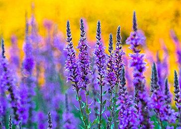 9岁孩子玩使命召唤过于激动 咬麦克风硌掉一颗牙齿